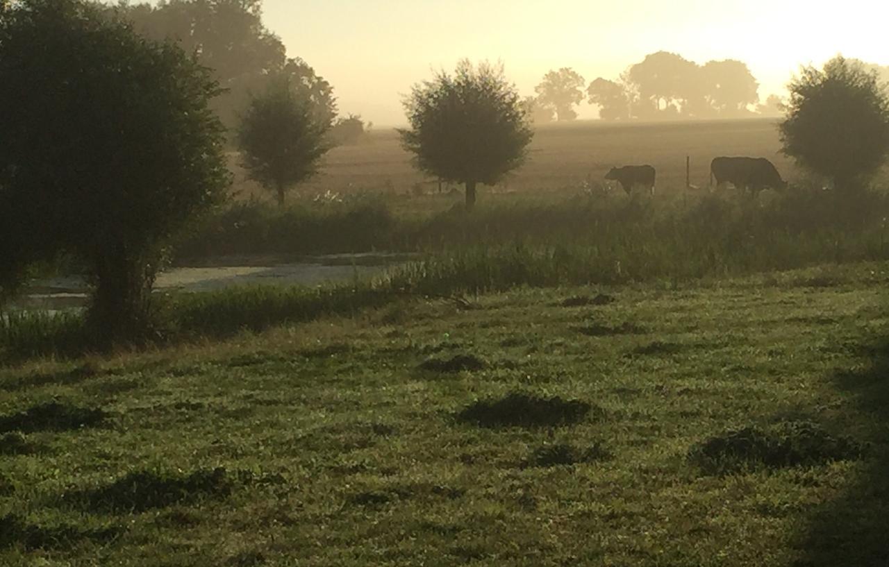 Bed & Breakfast Vragerups Gard Lomma Zewnętrze zdjęcie